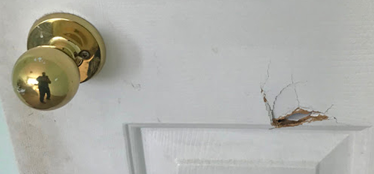 interior door hole repair Pleasure Point